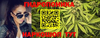 СК Краснознаменск