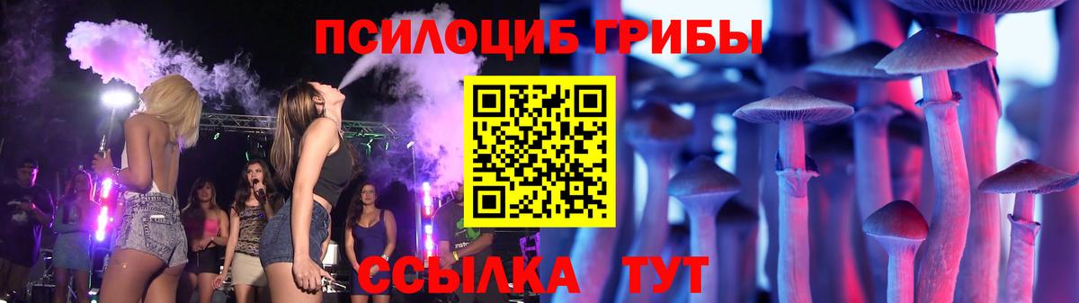 Псилоцибиновые грибы Psilocybe  Вход с VPN  Красноармейск 
